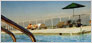 Jericho Tennis Club Brochure